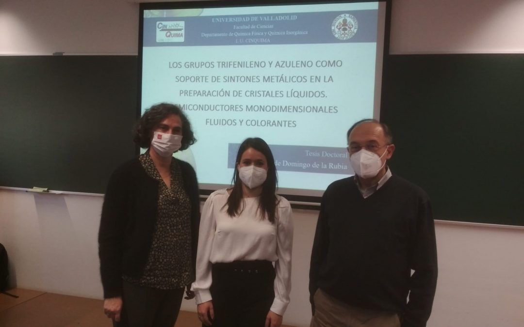 Tesis Doctoral Estela de Domingo