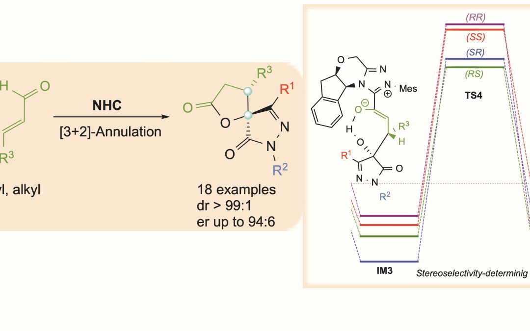 «Lo que hace difícil a este tipo de catálisis son todos los factores que entran en juego»